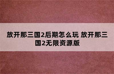 放开那三国2后期怎么玩 放开那三国2无限资源版